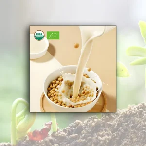 100% Natural Nutritious Breakfast Rush Instant Soymilk Powder Organic Soy Milk in a Salty Taste Hard Texture Packaged in a Bag