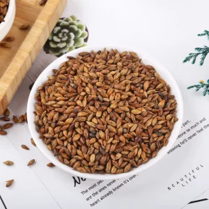 100% Natural Organic Barley Tea Healthy Grain Beverage Refreshing Blooming Tea in Bag Traditional Tea