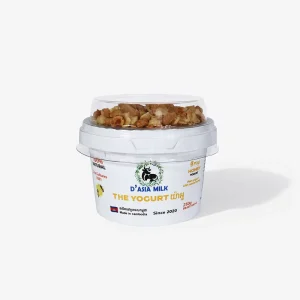 100% Natural Unsweetened Greco Yogurt D’Asia Milk Probiotic Greek Style Yogurt 500g Bucket