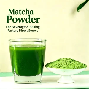 100% Pure Matcha Green Tea powder EU Standard Bright Green Mild Bitterness Easy to Dissolve Ideal for Beverages & Baking
