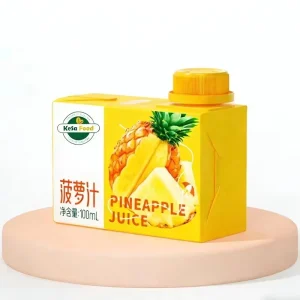 24 Pack 100ml Halal Pineapple Juice Concentrate with Vitamin C Tropical Fruit Beverage Bottles 12 Months Shelf Life Made China