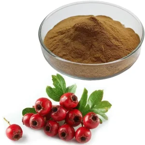 5% Flavones Hawthorn Fruit Extract Hawthorn Berry Extract Powder