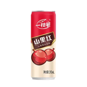 60% Concentrated Hawthorn Juice 245 ML*10 In Box Packaging Filtered Fruit Beverage