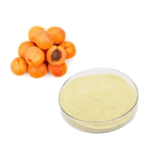 Apricot Fruit Powder Natural Apricot Juice Powder