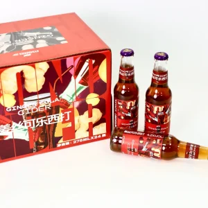 Artisan Ginger Apple Cider with Fermented Quality and Fresh Ingredients for Gourmet Food Pairing