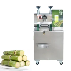 Automatic Stainless Steel Vertical Juice Press Machine for Fruit Sugarcane Restaurants Food Shops