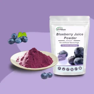 Blueberry Concentrate Instant Powder Fresh Wild Flavored Blueberry Juice Powder for Soft Drinks