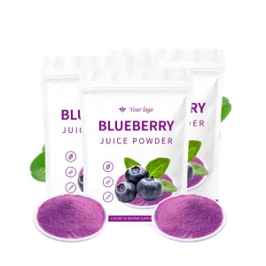 Blueberry Powder Organic Blueberry Juice Powder OEM ODM Blueberry Powder in Bulk