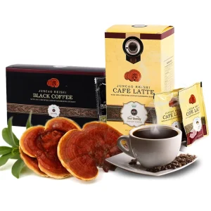 Brand Customization OEM Private Label Reishi Coffee Instant Latte Powder with Mushroom Extract