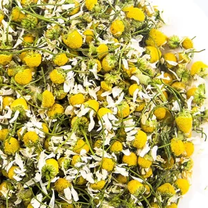 Bulk Natural High Quality Yang Gan Ju Dried Chamomile Herbal Flower Tea Slimming Detox Tea