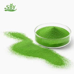 Bulk Organic Stone Ground Instant Green Tea Ceremonial Grade JAS USDA & EU Certified Smooth No Bitterness Matcha Powder