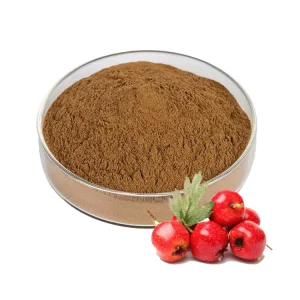 Bulk Price Hawthorn Fruit Extract 10:1 Hawthorn Berry Extract Powder 10%-50% Flavones
