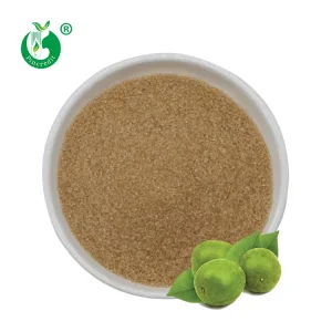 Bulk Sugar Substitute Natural Siraitia Grosvenorii Lakanto Monkfruit Sweetener