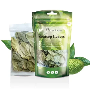 Caffeine Free Premium Dried Soursop Leaves Guanabana Tea Soursop Leaf Graviola Herbal Infusion for Daily Wellness