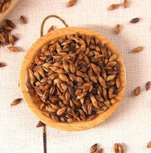 Chinese High Quality Healthy Tea Roasted Barley Ptisan Tea in Loose