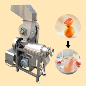 Cold Press Fruit Vegetable Juicer Machine Commercial Automatic Orange mango Juicer Machine with Crusher