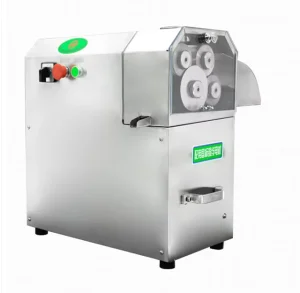 Commercial Stainless Steel Automatic Sugarcane Juicer 220V/110V Juice Extractor Motor