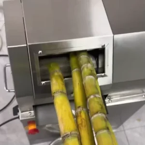 Commercial Sugarcane Juicer Machine with Wide Rectangular Inlet Multi-Stick Feeding Sugarcane Juice Extractor
