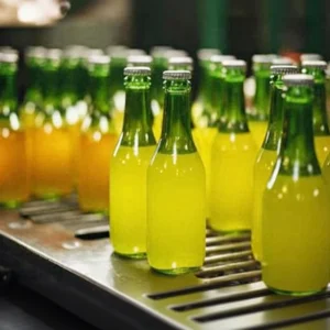 Complete Glass Bottle Juice Beverage Filling Fruit Juice Processing Production Line