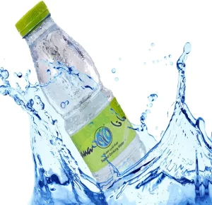 Complete Mineral Water Bottling Machine Production Line