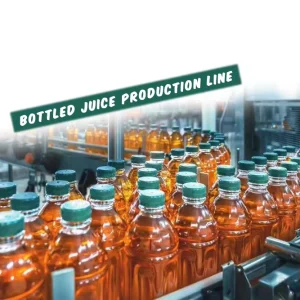 Complete Set Pineapple Mango Orange Fruit Juice Hot Fill Small Plastic Bottle Automatic Filling Machine Production Line