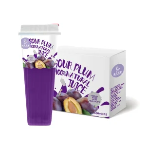 Customized 500ml Bottled Natural Fruit Juice Private Label Beverage Manufacturer