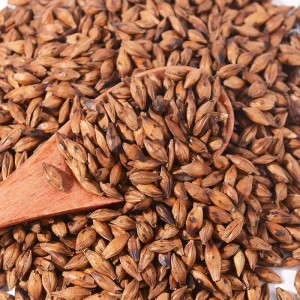 Dried Barley Tea New Crop Roasted Barley Grains Prices for Sale