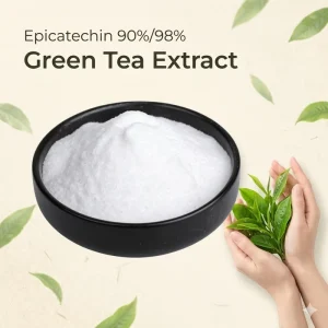 Epicatechin Powder 90% 98% Natural Antioxidant Supplement Green Tea Extract Pure L Epicatechin Powder