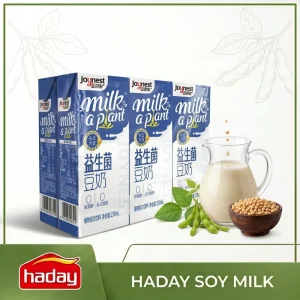 European Market Custom Private Label Soy Milk Healthy Daily Drink Low Cost OEM Soy Milk Drinks Good Price