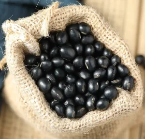 Export Quality Non GMO Black Soybeans Health Product