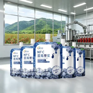 Factory 150ml*10 Bags of Boxed NFC 100% Pure Blueberry Pulp Leaf Yellow OEM ODM Customization ISO HACCP Certified Juice