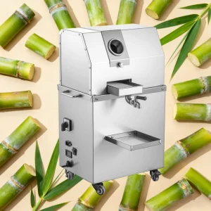 Factory 24V 110V 220V Sugarcane Juicer Machine