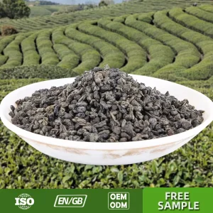 Factory China Moroccan Premium Quality Africa 3505 Special Gunpowder Green Tea