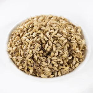 Factory Direct Raw Malt Natural Dried Barley Malt Pure Plant Material Bulk Supply for Processing Use Mould Proof