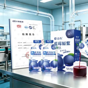 Factory Direct Sales Blueberry Puree Freshly Squeezed Sugar Free Drink 30ml*10 Bottles OEM Customized HACCP ISO Certified