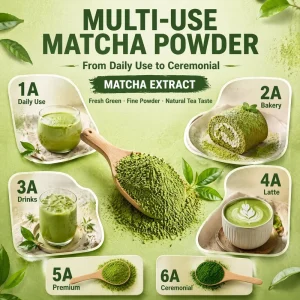 Factory Direct Sales Organic Certified Free Sample Ceremonial Grade Matcha Powder for Tea Drinks Support Customization