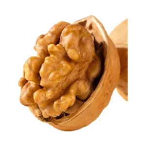 Factory Shelf Life 12 Months 100% Natural Nutritious Fresh Raw Walnut With Shell in Bulk
