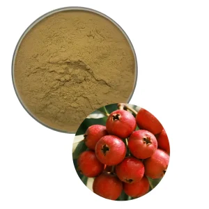 Factory Supply Hawthorn Berry Extract Flavone Powder