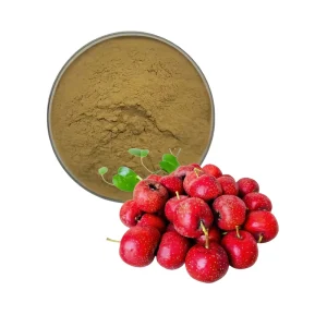 Factory Supply Hawthorn Extract Powder for Promoting Digestion