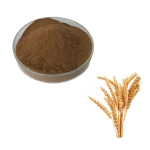 Factory Supply Instant Barley Tea Powder Roasted Barley Powder for Barley Coffee