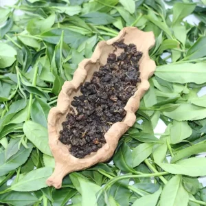 Factory Supply Volcanic Basalt Gaba Oolong Tea From Yunnan Tengchong With Fruit Fragrance