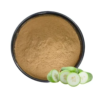 Factory Supply Winter Melon Extract Powder Food Grade Winter Melon Powder