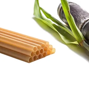Food Grade Biodegradable Sugarcane Pulp Fiber Straws for Beverage Milk Tea Coffee Water Heat Resistant Disposable Thick
