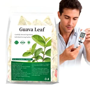 Fresh Dried Guava Leaf Natural High Quality Detox Cleansing Tea Helps Lower Blood Sugar Levels Herbal Flavored Health Tea Bags