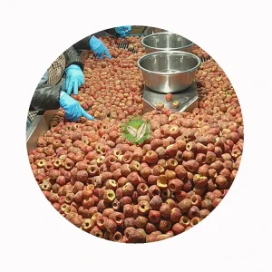 Frozen Hawthorn Supplier for Jam Juice and Puree Processing HACCP BRC Certified Bulk Export Pack