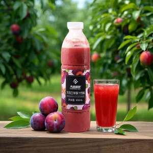 Frozen Plum Juice Concentrate in Bottle Natural Sweetness Additive-Free for Beverages & Baking OEM Bulk Supplier