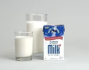 Full Automatic Vegan 1L Soy Plant Base Nuts Peanut Walnut Almond Milk Oat Milk Production Line Cheese Butter Ghee