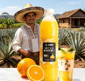 Gannan Navel Orange Juice Frozen NFC Pure Cold Pressed Fruit Juice for Beverage Ingredients