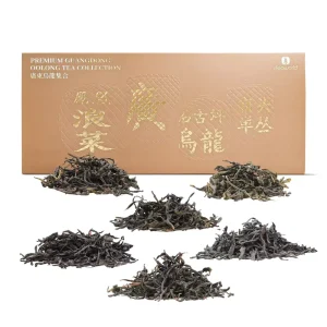 Guangdong Oolong Tea Collection 6 Historical Flavors for Tea Lovers 100g