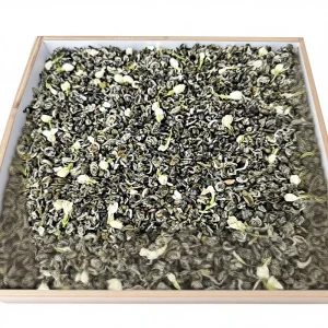 Guangxi Organic Bulk OEM Label Fresh Crop Orthodox Premium Loose Jasmine Tea MatchaJasmine Handmade 250g Slimming